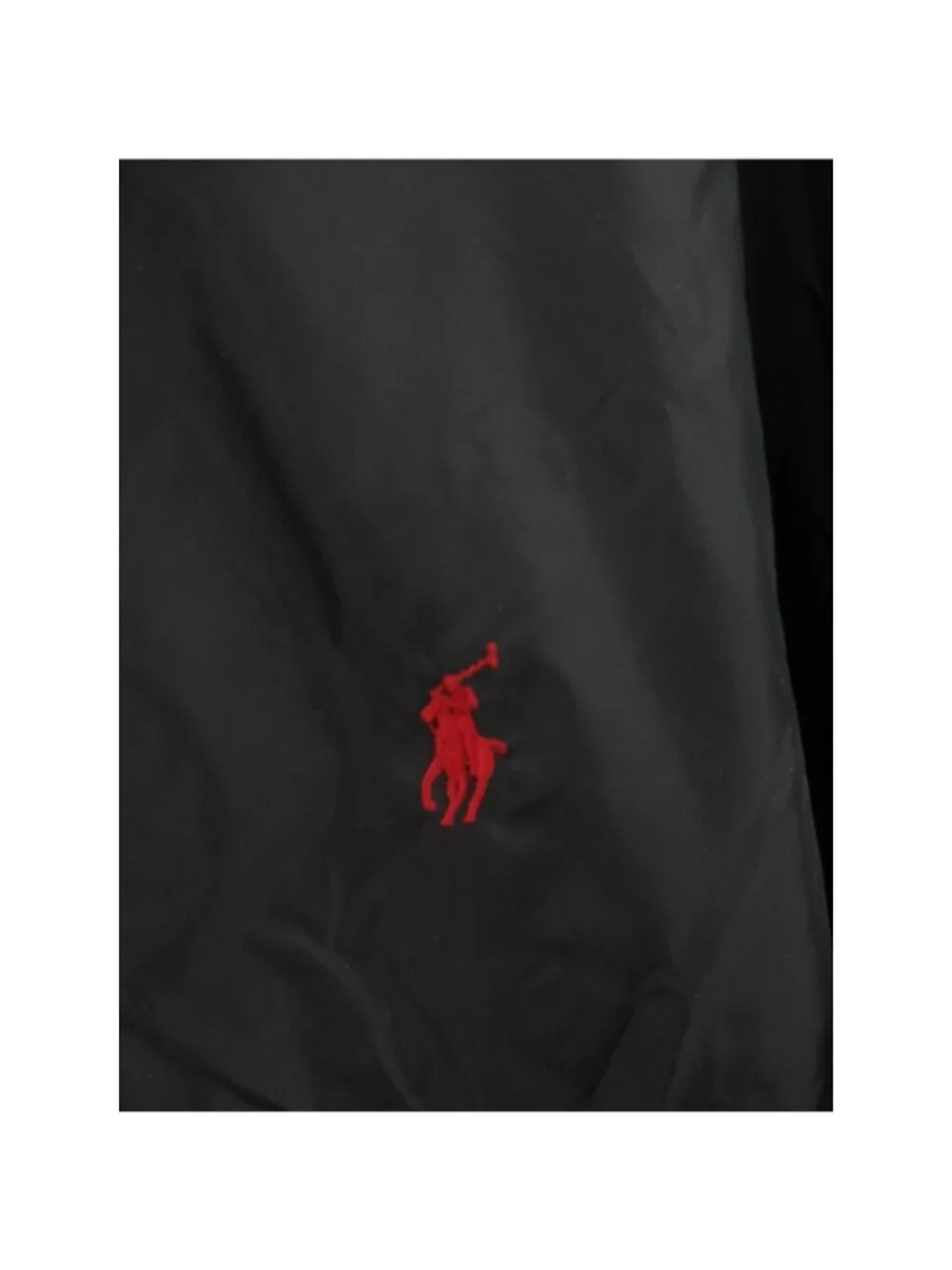 Polo Ralph Lauren brand polo